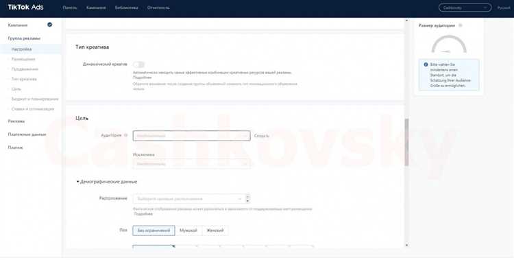Шаги по настройке таргетированной рекламы в TikTok: