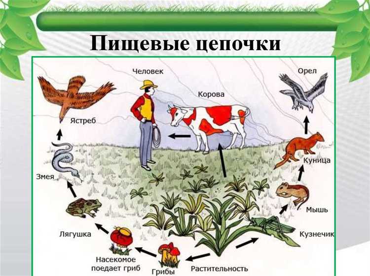 Непостоянный поток заказов и нестабильные доходы